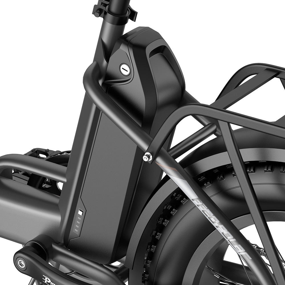 Fafrees FF20 Polar Vélo électrique tout-terrain 20