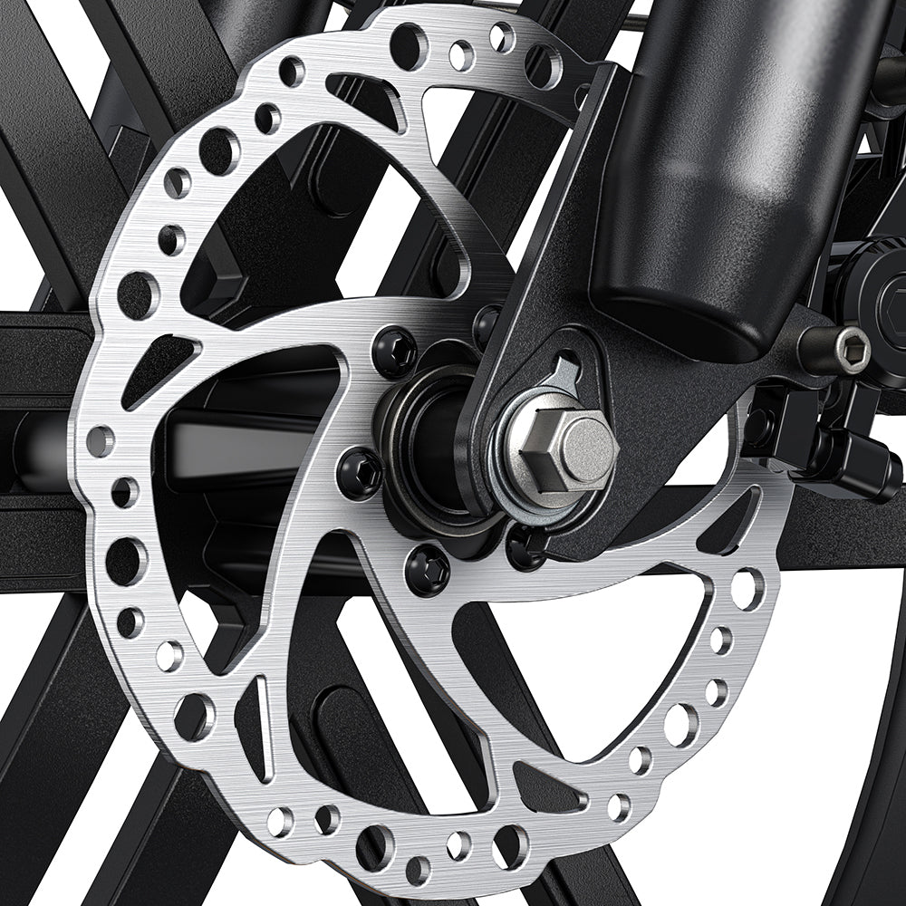Engwe L20 BOOST 250W 20" Fat Bike 624Wh Step-through E-bike with Torque Sensor 48V 13Ah Battery