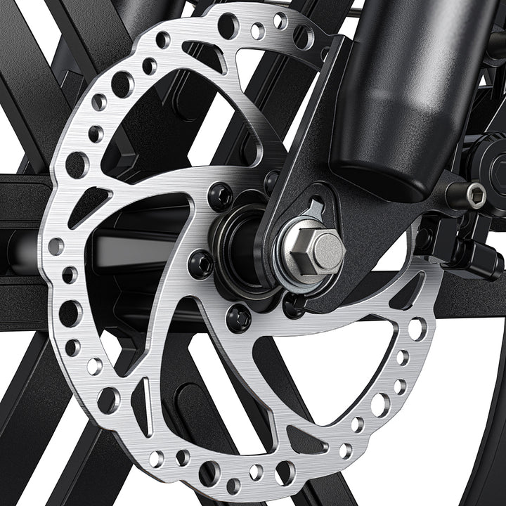 Engwe L20 BOOST 250W 20" Fat Bike 624Wh Step-through E-bike with Torque Sensor 48V 13Ah Battery