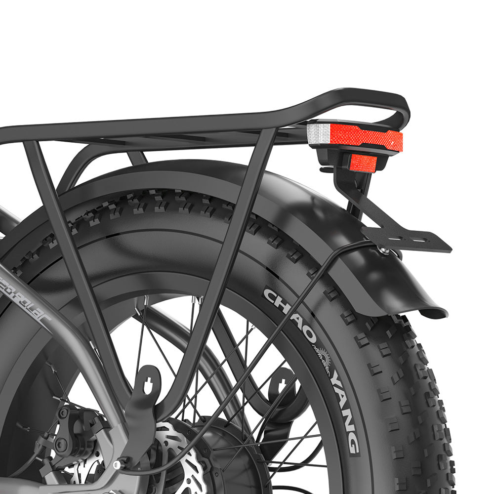 Fafrees FF20 Polar Vélo électrique tout-terrain 20