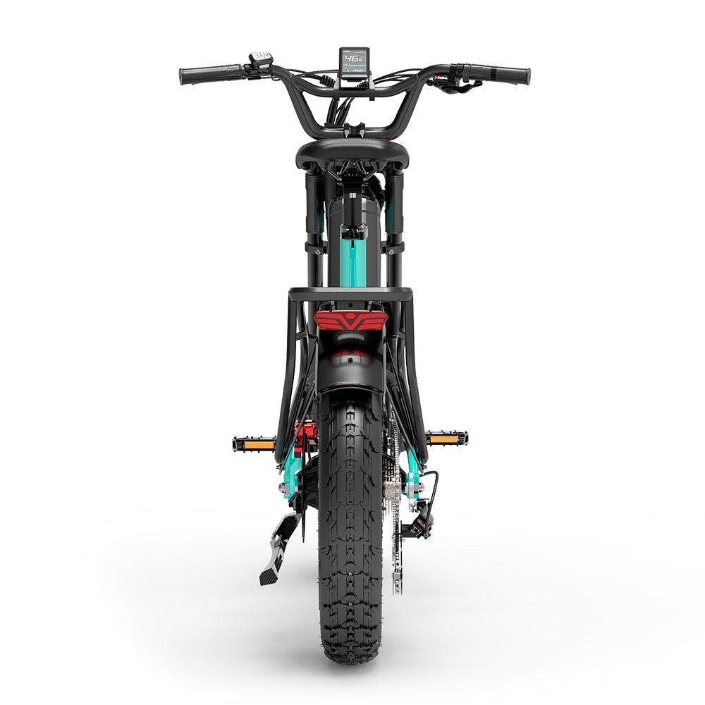 Lankeleisi RX800 Plus 1000W 20" Fatbike Vollgefedertes Elektrofahrrad 48V 20Ah Samsung Akku SUV E-Bike