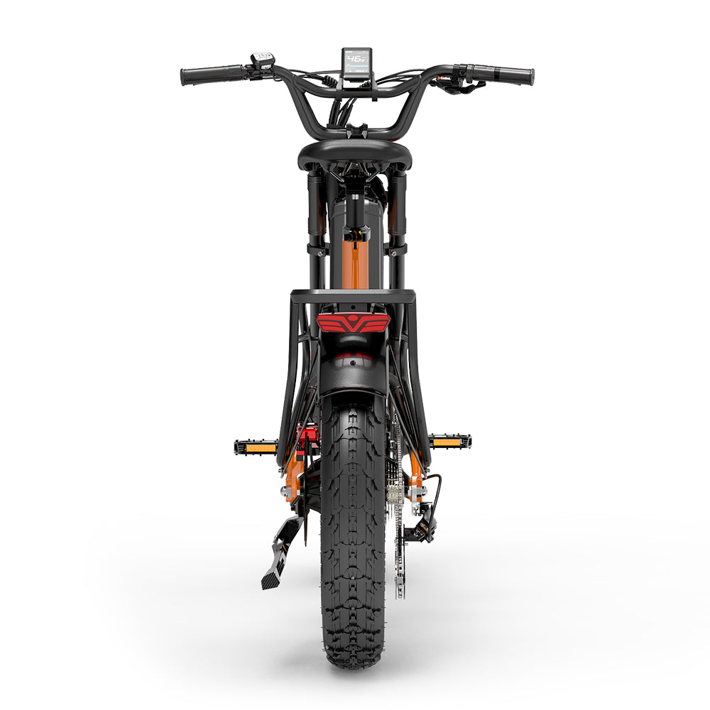 Lankeleisi RX800 Plus 1000W 20" Fatbike Vollgefedertes Elektrofahrrad 48V 20Ah Samsung Akku SUV E-Bike