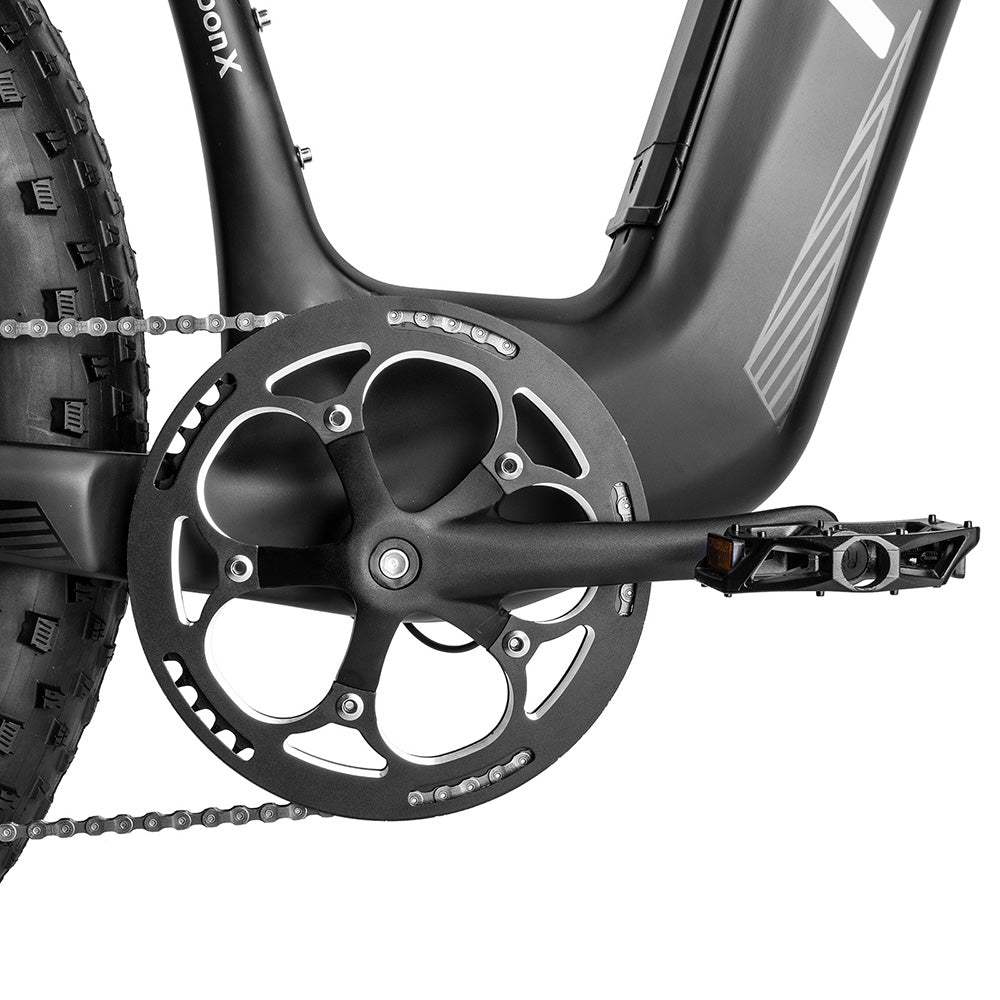 Fafrees F26 CarbonM 1000W 26" Fat Bike Carbon-fiber Electric Bike 22.5Ah Samsung Battery