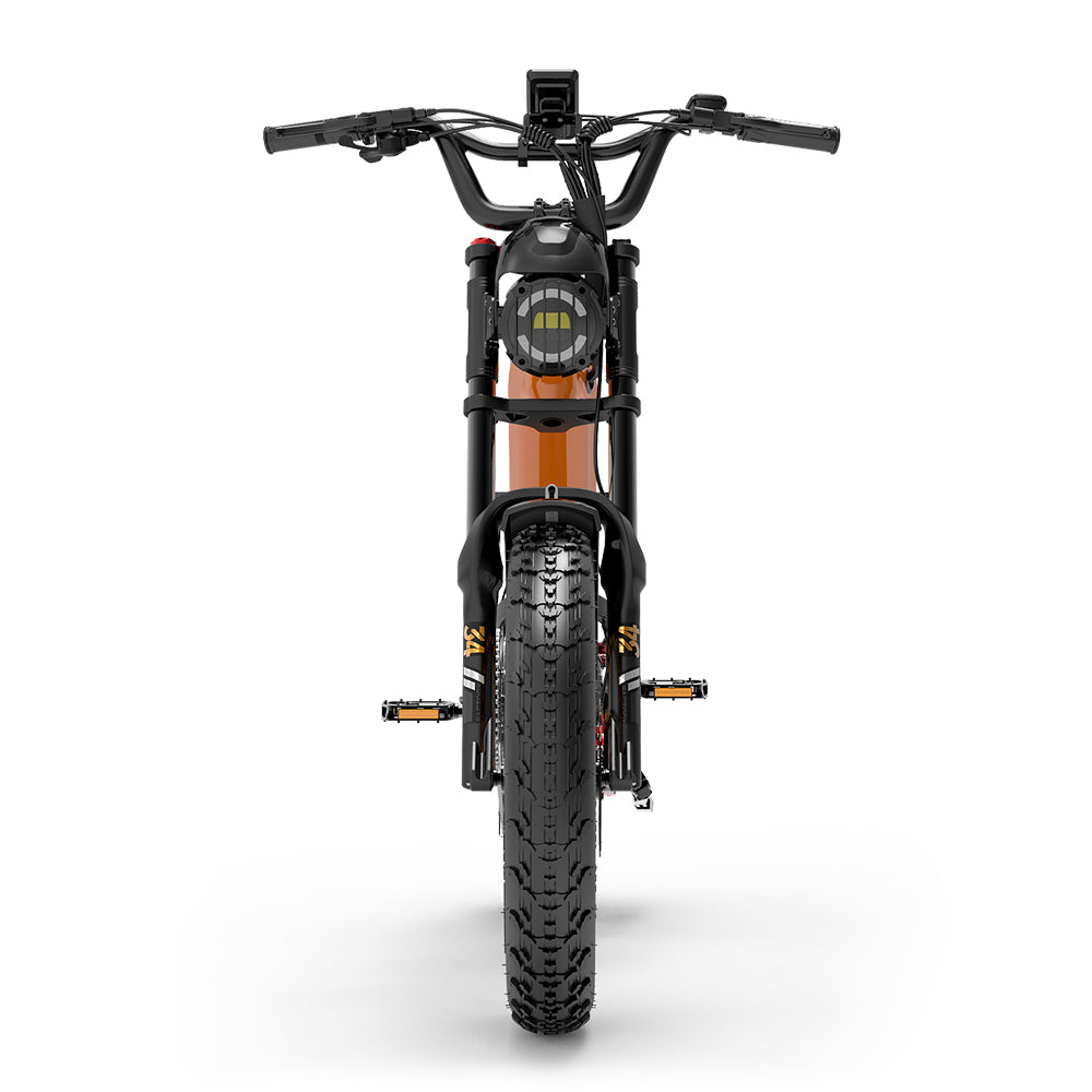 Lankeleisi RX800 Plus 1000W 20" Fat Bike Täysjousitettu Sähköpyörä 48V 20Ah Samsung Akku SUV E-Bike