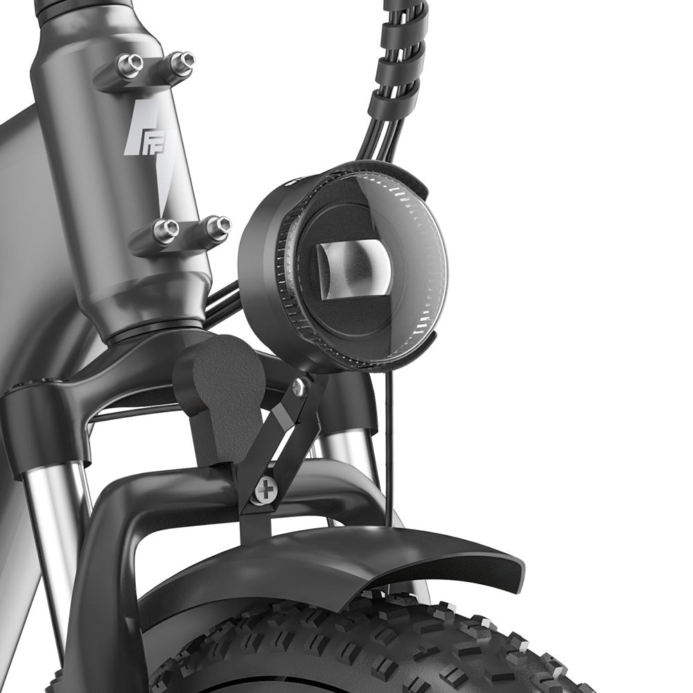 Fafrees FF20 Polar Vélo électrique tout-terrain 20