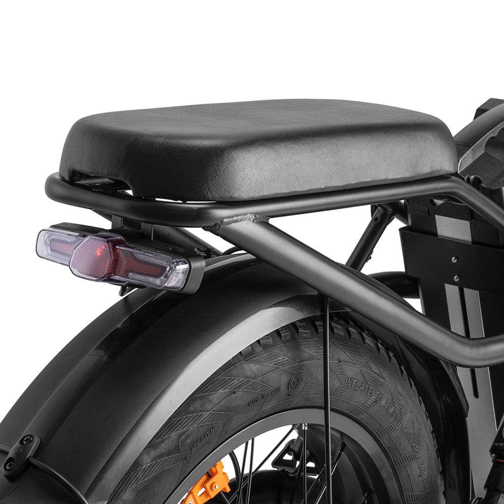 Fafrees F20 X-Max 750W 20" Fat Bike Elettrica Pieghevole E-bike con 30Ah Batteria Samsung