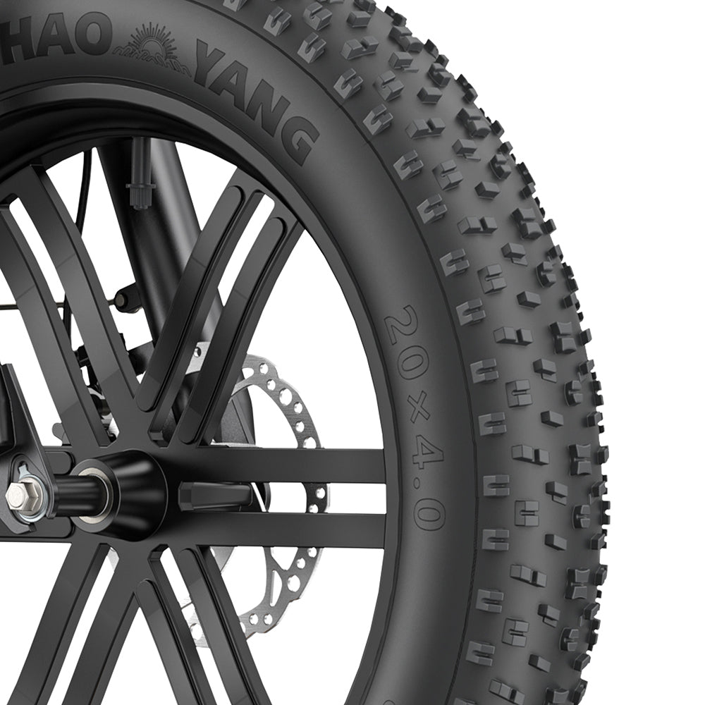 Engwe L20 BOOST 250W 20" Fat Bike 624Wh Step-through E-bike with Torque Sensor 48V 13Ah Battery