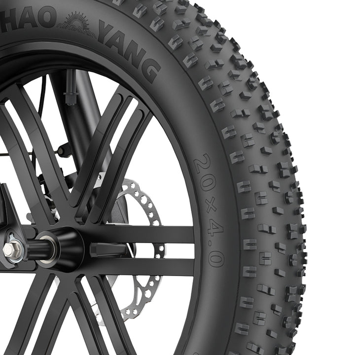 Engwe L20 BOOST 250W 20" Fat Bike 624Wh Step-through E-bike with Torque Sensor 48V 13Ah Battery
