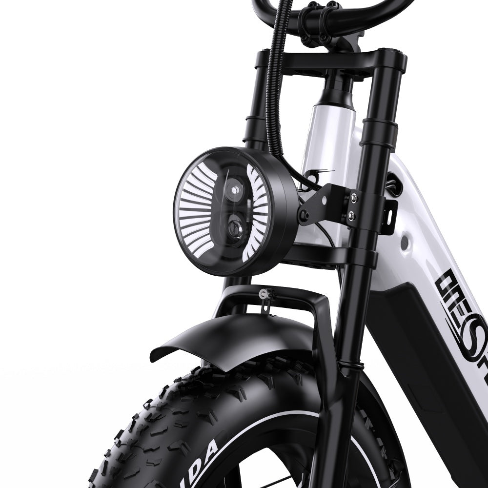 Onesport OT08 Pro 500W 20" Fat Bike Dual Batteries 1728Wh Step-through E-bike Support App