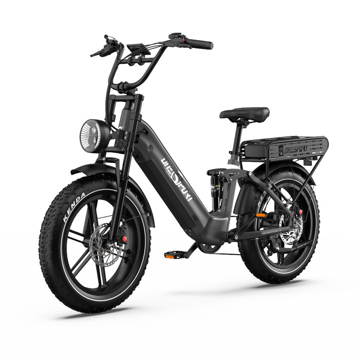 Onesport OT08 Pro 500W 20" Fat Bike Doppie Batterie 1728Wh E-bike a Passo Basso Supporto App