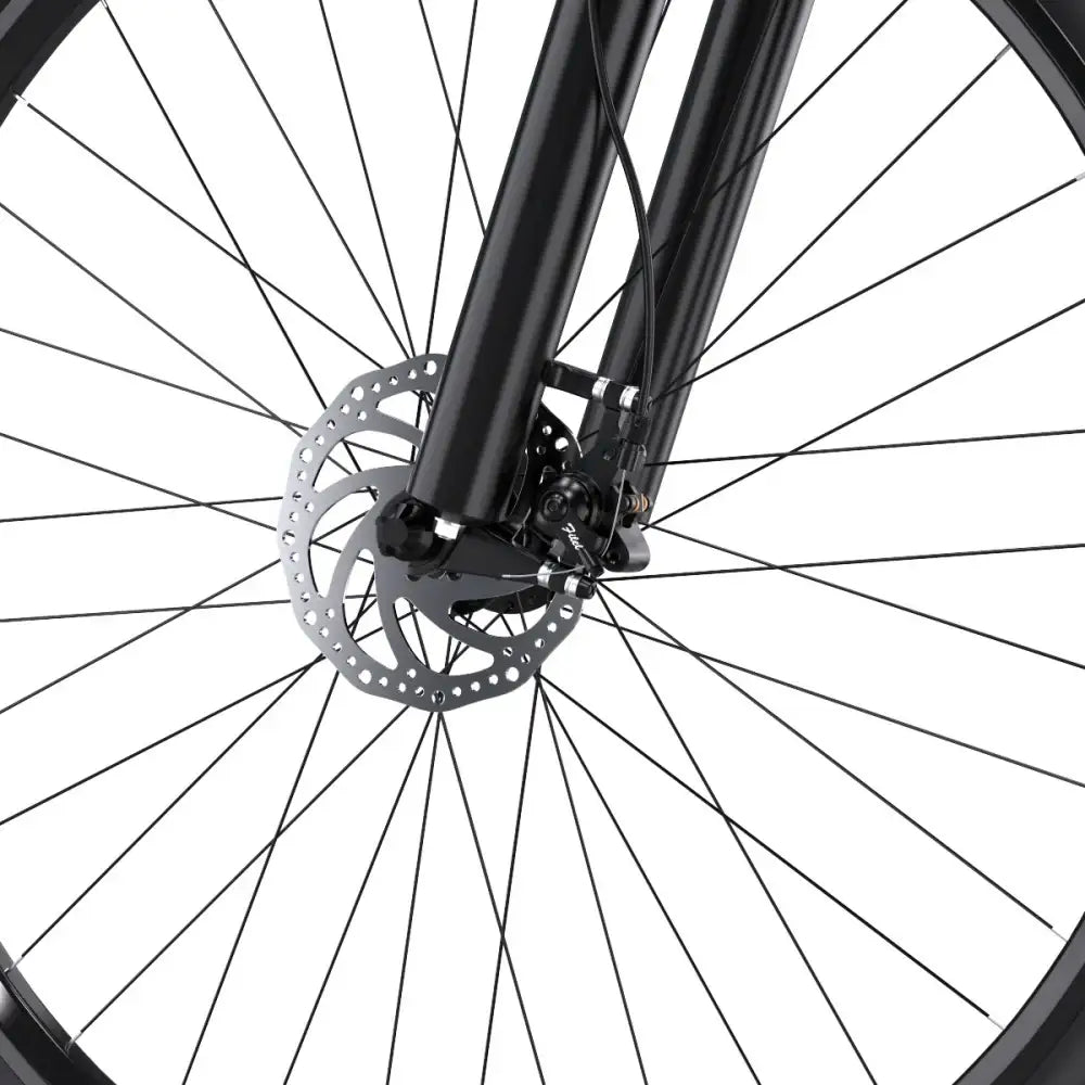 duotts c29 elektrofahrrad DUOTTS C29 750W 29" Elektrisches Bergfahrrad Hardtail 720Wh E-Bike 48V – Buybestgear