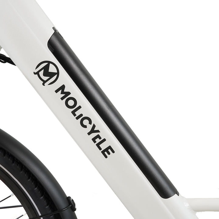 Molicycle R1 250W 26" Electric City Bike 532Wh Battery with Torque Sensor 14.5Ah
