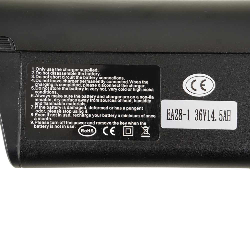 Molicycle R1 250W 26