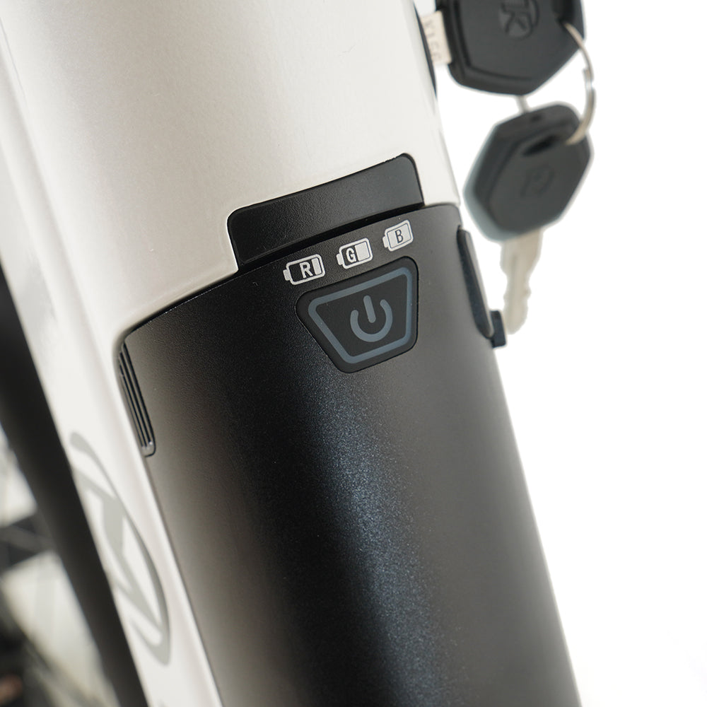 Molicycle R1 250W 26