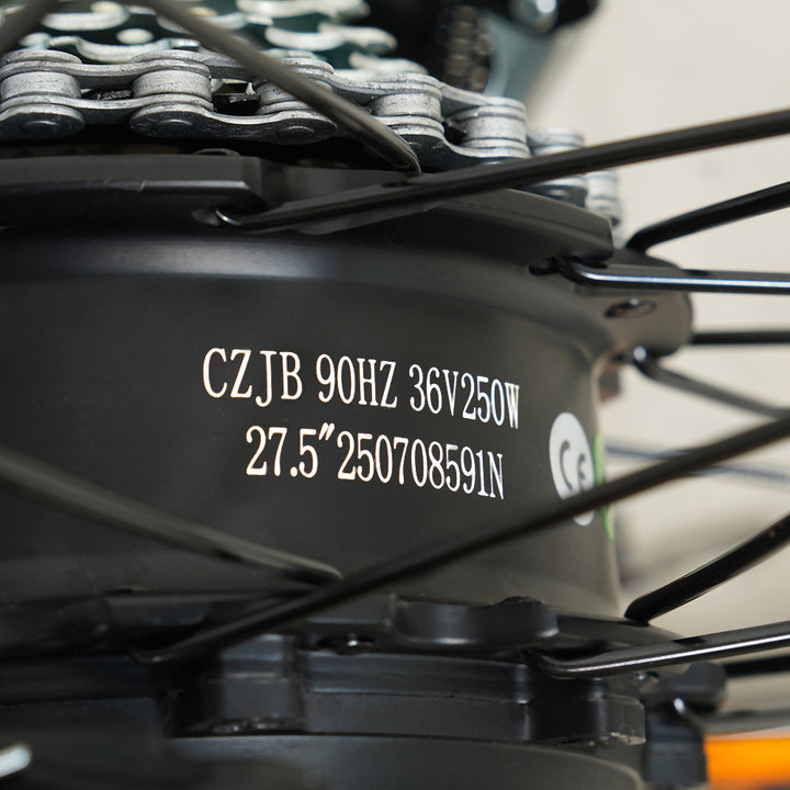 Molicycle R1 250W 26" Electric City Bike 532Wh Battery with Torque Sensor 14.5Ah