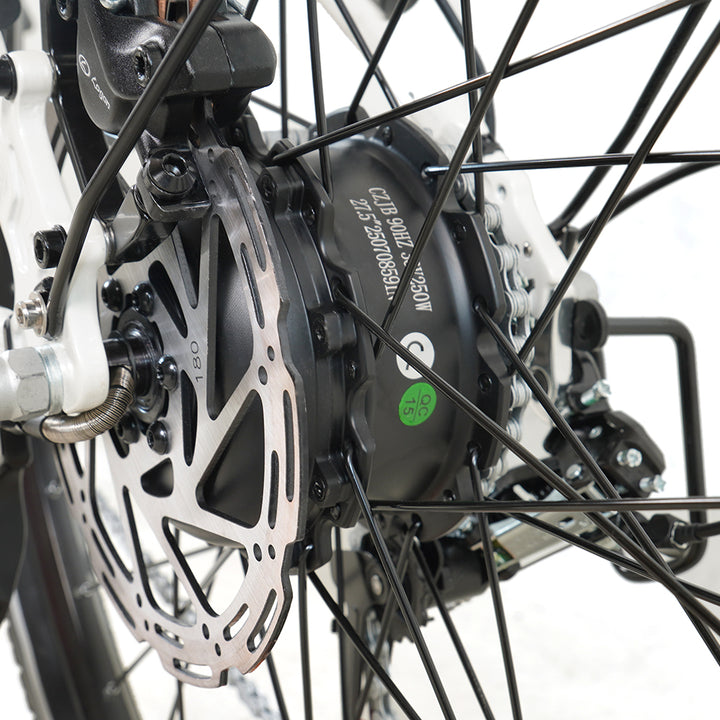 Molicycle R1 250W 26" Electric City Bike 532Wh Battery with Torque Sensor 14.5Ah