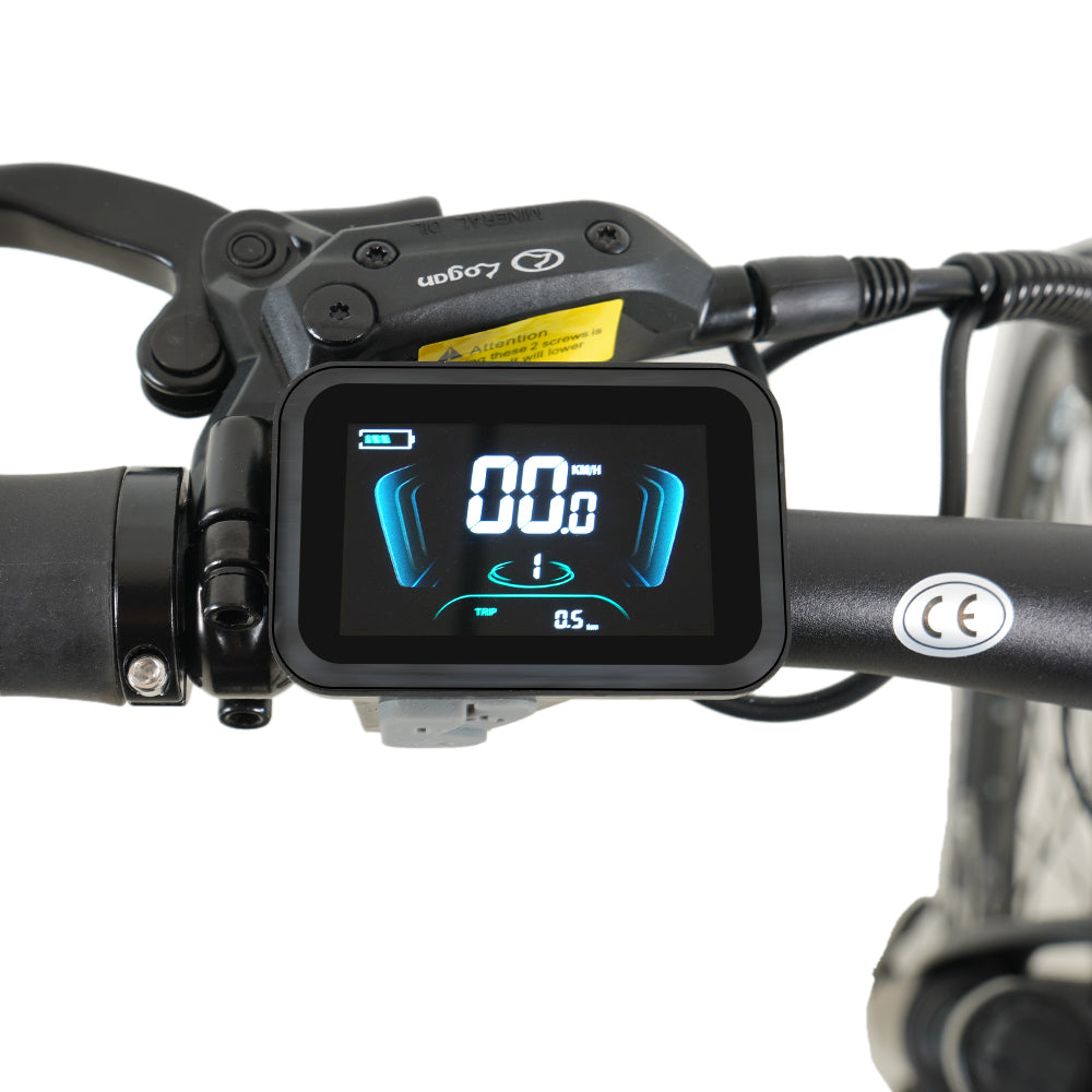 Molicycle R1 250W 26