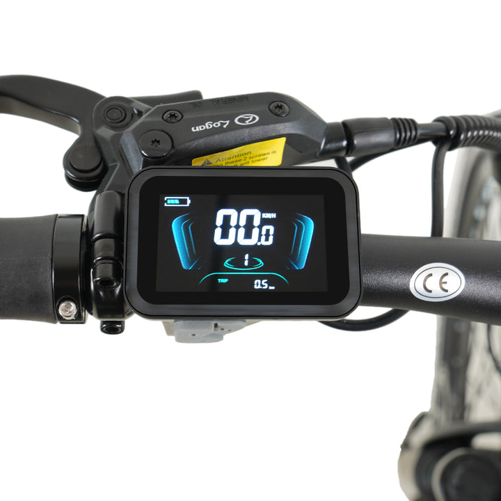 Molicycle R1 250W 26" Electric City Bike 532Wh Battery with Torque Sensor 14.5Ah