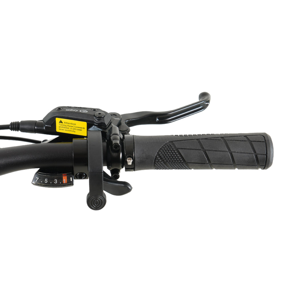 Molicycle R1 250W 26