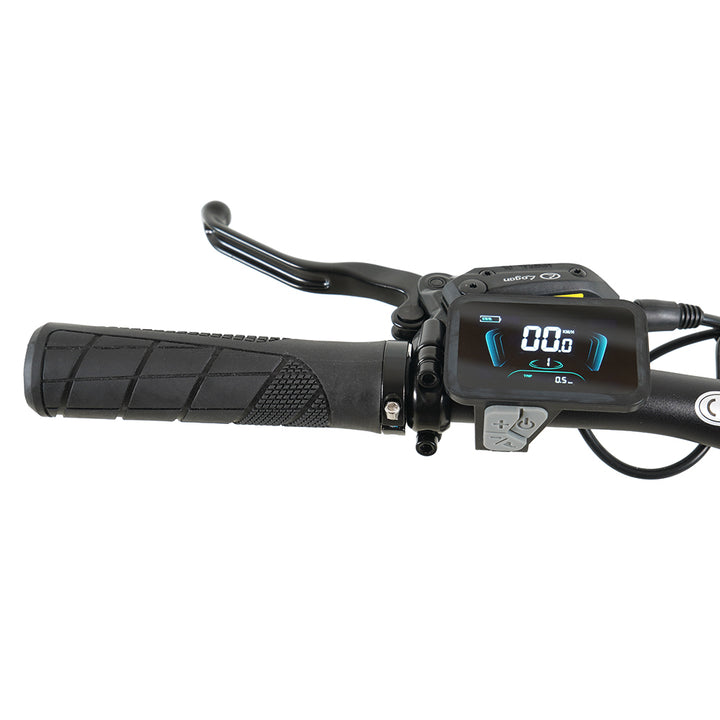 Molicycle R1 250W 26" Electric City Bike 532Wh Battery with Torque Sensor 14.5Ah