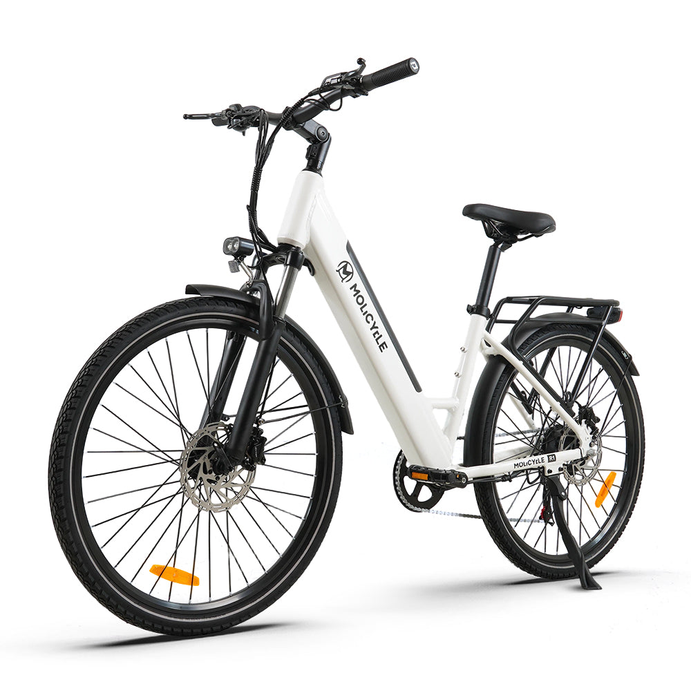 Molicycle R1 250W 26