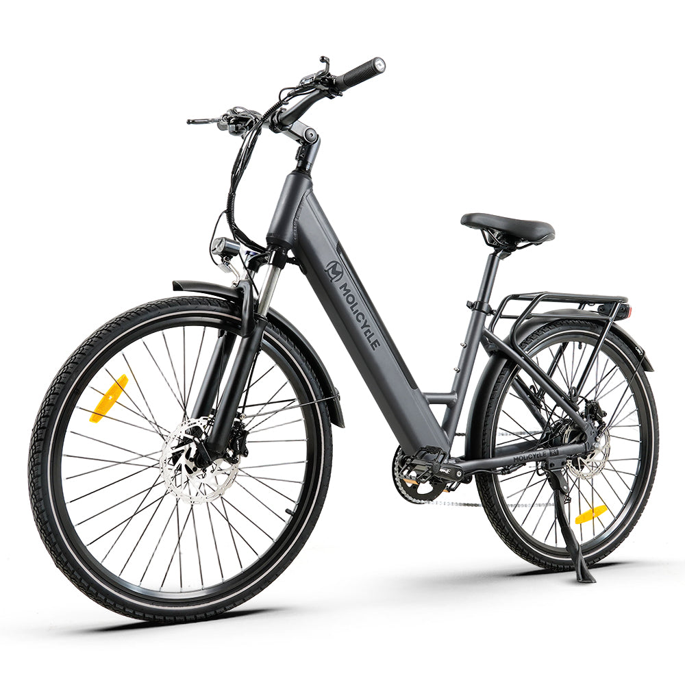 Molicycle R1 250W 26