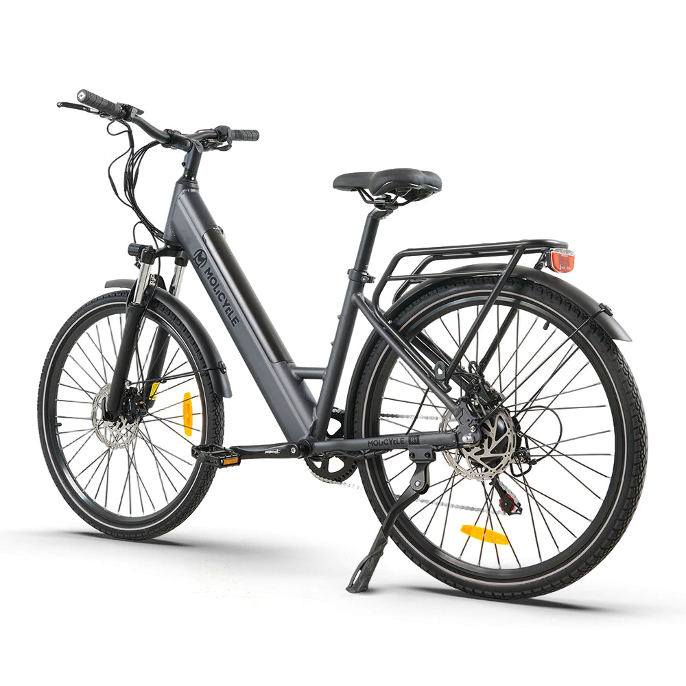 Molicycle R1 250W 26