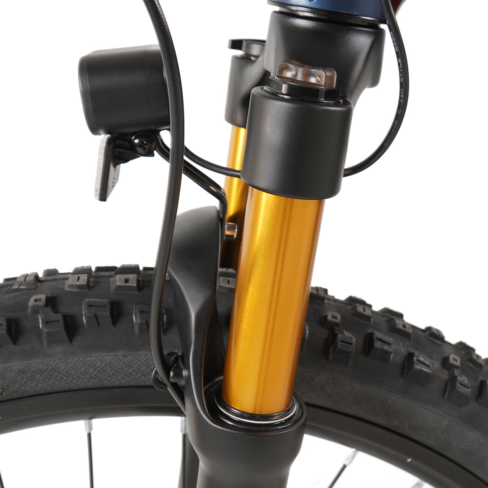 Vakole EMT29 e-bike - received a coupon and a discount of nearly 70 thousand 12 Vakole EMT29 ergonomic settings