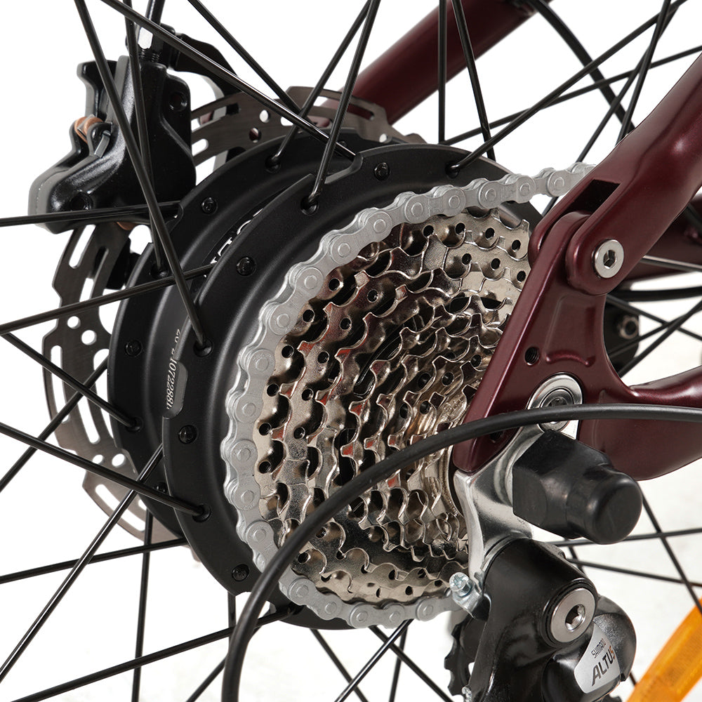 Vakole EMT29 e-bike - received a coupon and a discount of nearly 70 thousand 11 Vakole EMT29 shifter and brake system