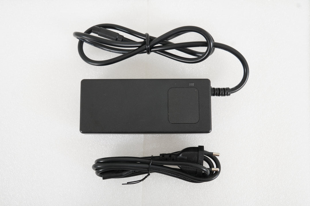 Chargeur de batterie Vakole VT4/Molicycle R1