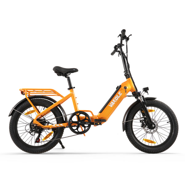 Vakole VT4 250W 20