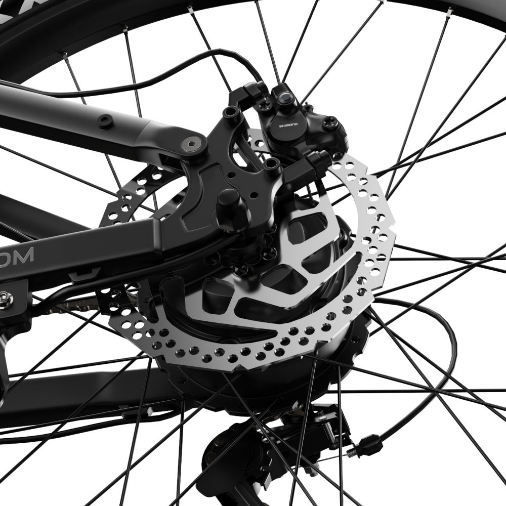 DUOTTS E29 250W 27.5