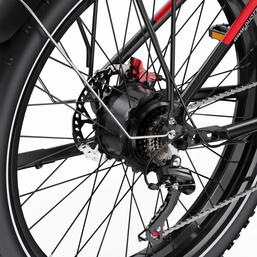 DUOTTS F26 750W*2 Vélo Gros Pneus 26