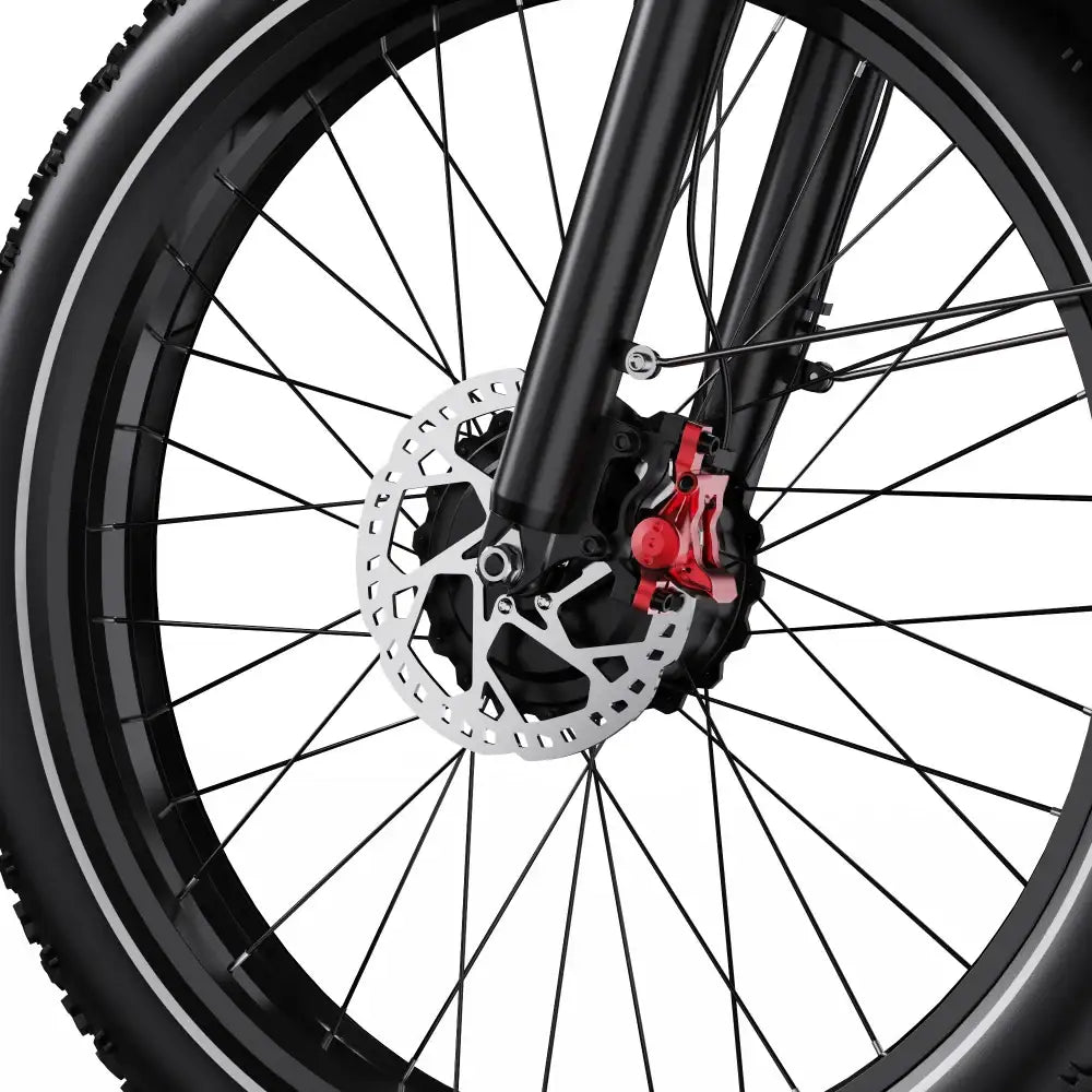 DUOTTS F26 750W*2 Vélo Gros Pneus 26