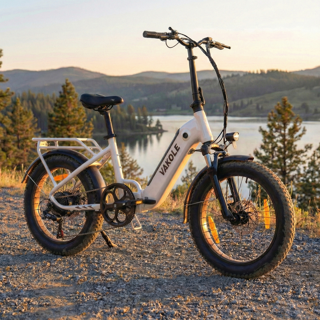 elektrofahrrad englisch Vakole VT4 2.0 250W 20 Zoll Kompaktes Klappbares Tiefeinsteiger E-Bike – Buybestgear
