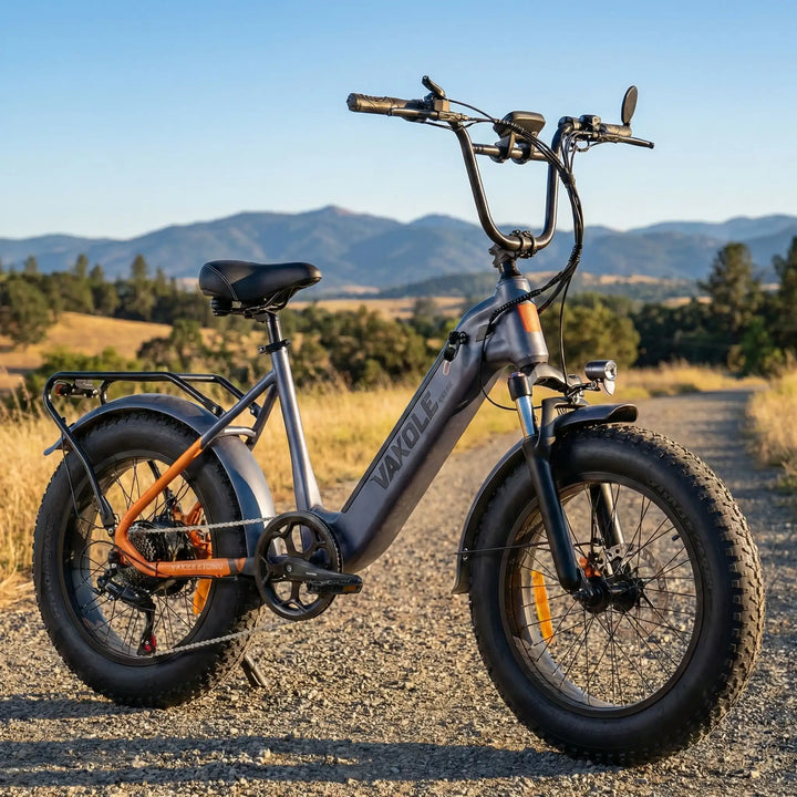 Vakole SG20 250W 20" Electric Fat Bike 691Wh Utlity E-bike 48V 14.4Ah Battery