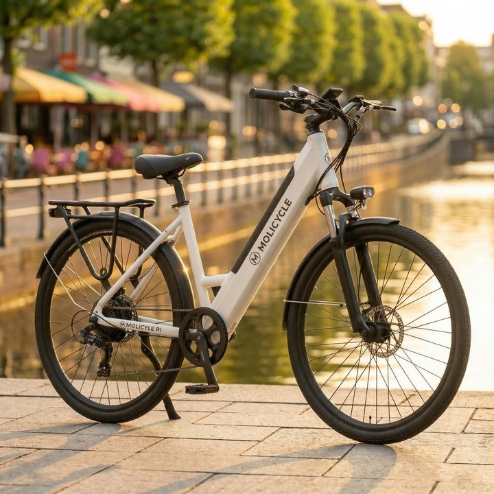 Molicycle R1 250W 26" Sähköinen Kaupunkipyörä 532Wh Akku Vääntö Anturi 14.5Ah Tuki APP:lle