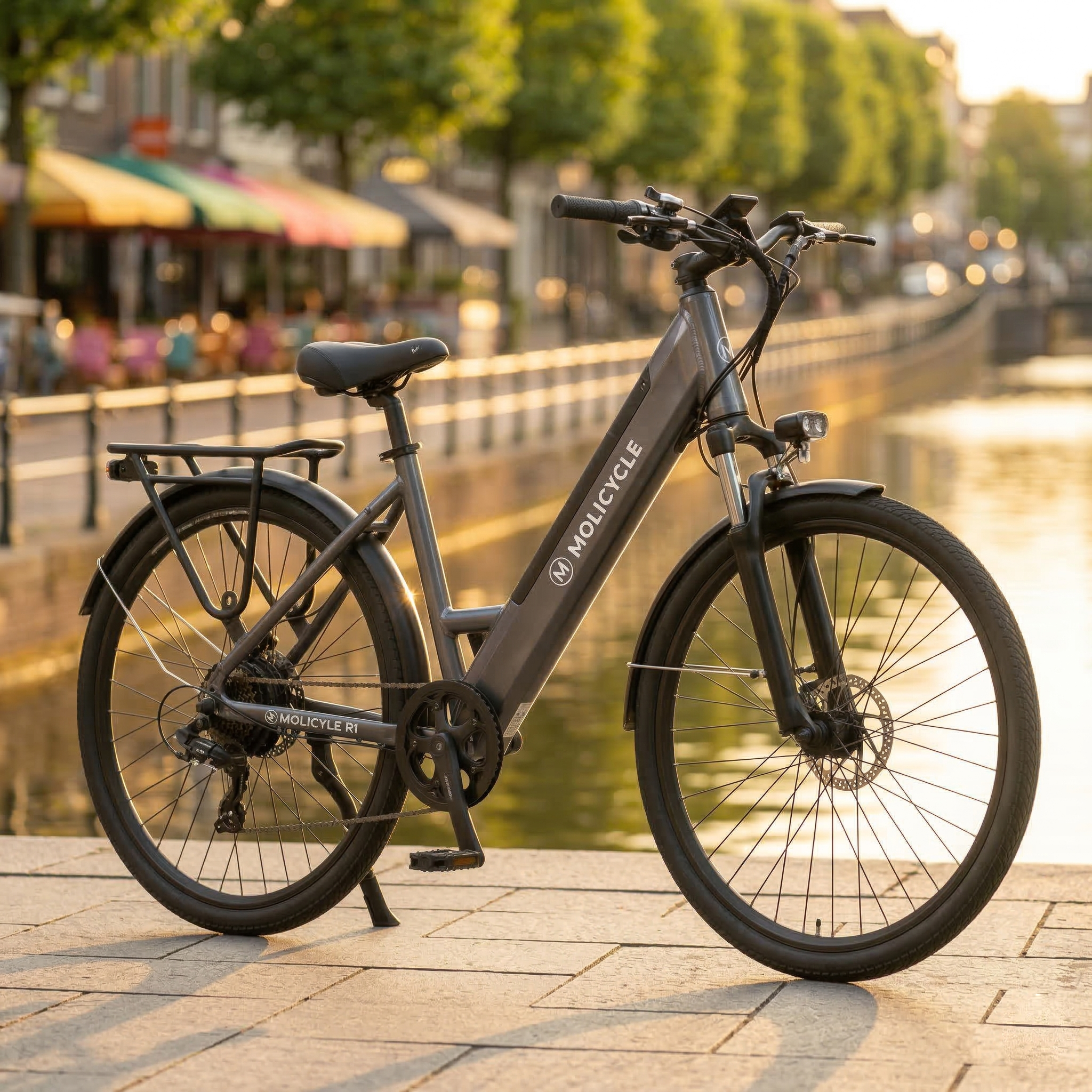 Molicycle R1 Vélo Électrique Urbain 26