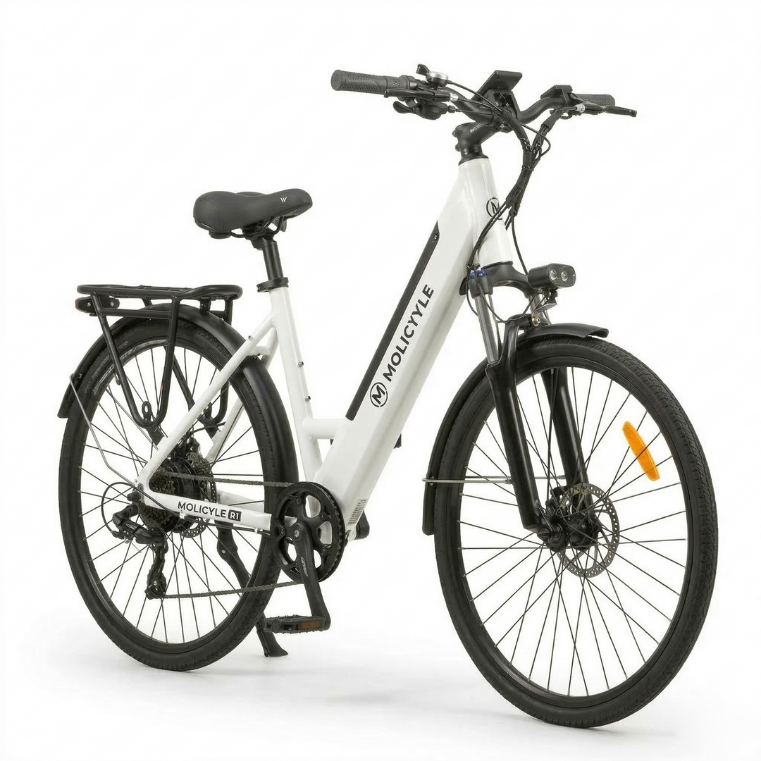 Molicycle R1 250W 26" Sähköinen Kaupunkipyörä 532Wh Akku Vääntö Anturi 14.5Ah Tuki APP:lle