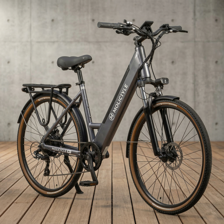 Molicycle R1 250W 26" Sähköinen Kaupunkipyörä 532Wh Akku Vääntö Anturi 14.5Ah Tuki APP:lle