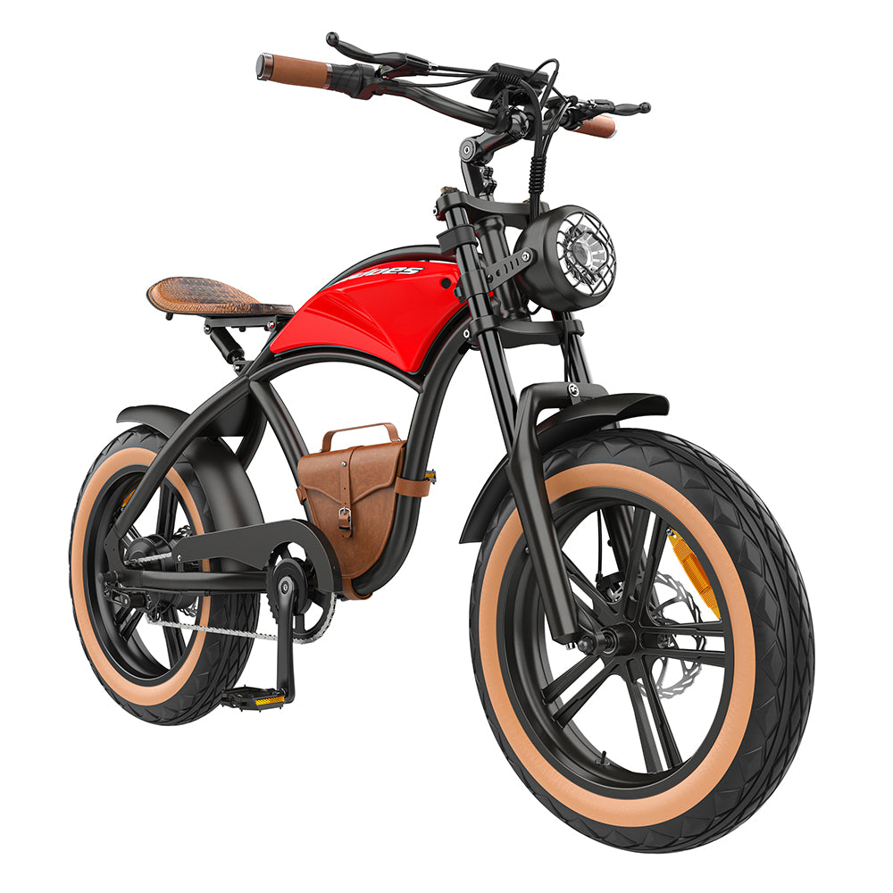 Hidoes B10 MAX 1000W 20" Fat Bike Vélo électrique 48V 12.5AH Batterie