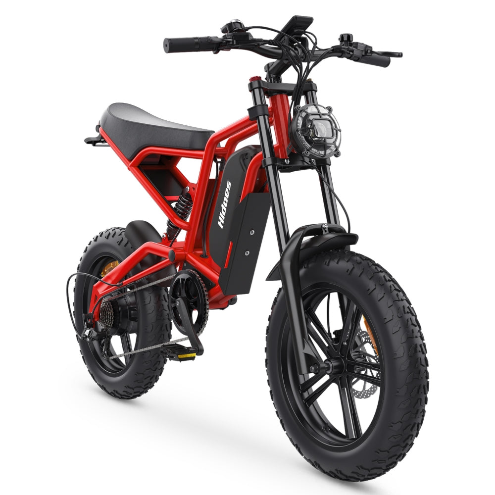 Hidoes B6 MAX 1200W 20" Fat Bike Electric Bike 48V 15AH Battery
