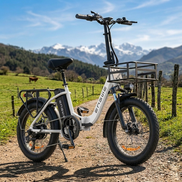 Engwe L20 SE 250W 20" Foldable Electric Bike 561Wh Trekking Bike Step-through E-bike 36V 15.6Ah Battery
