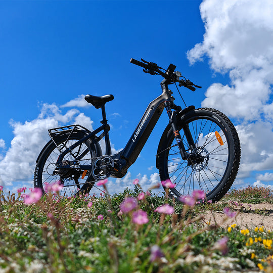Lankeleisi MG600 Lite 250W 27.5