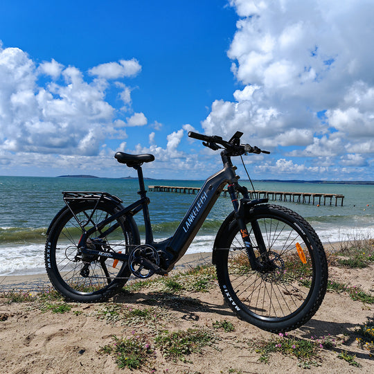 Lankeleisi MG600 Lite 250W 27.5