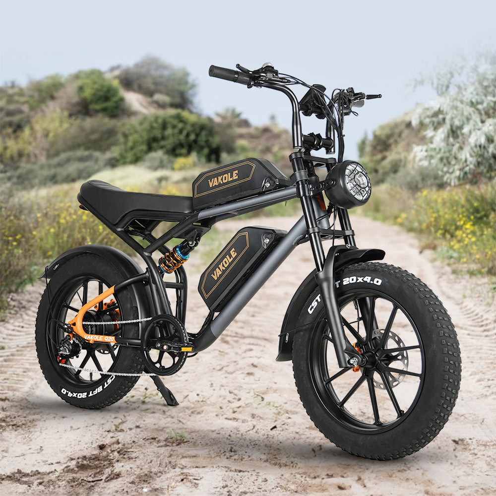 Vakole Q20 750W 20" Fat Bike VTT électrique avec 20Ah*2 Doubles Batteries de Samsung E-MTB