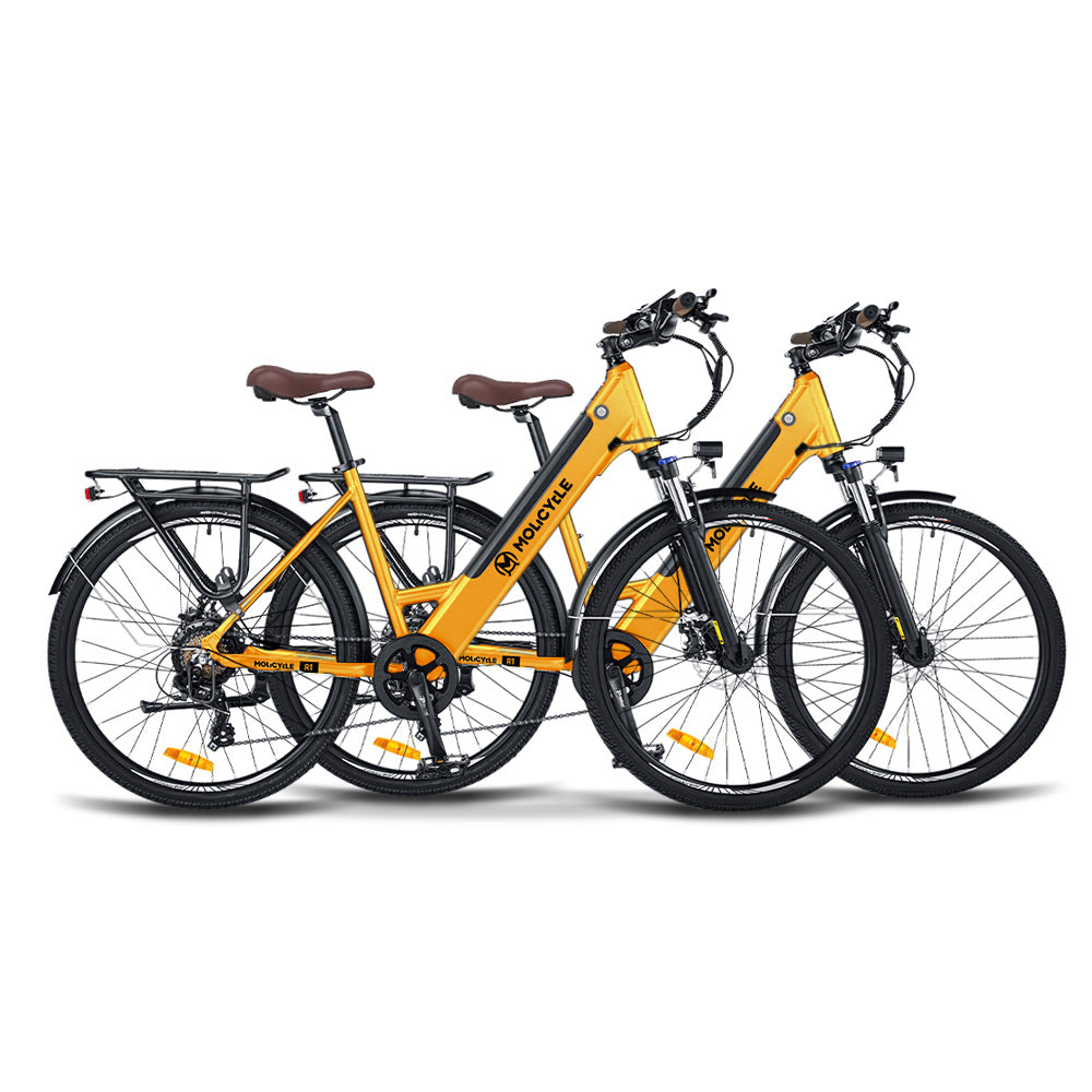 Paquete de bicicletas eléctricas Molicycle R1 * 2 [Reserva]