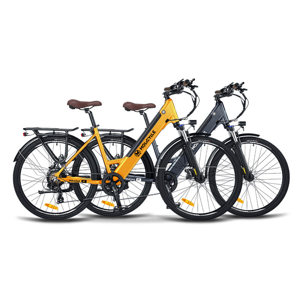 Pack Molicycle R1 * 2 vélos électriques