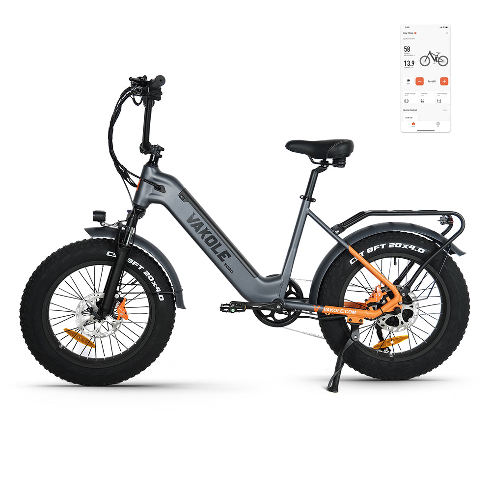Vakole SG20 Upgraded Version 250W 20" Fat Bike Electric Trekking Bike 48V 15.6Ah Samsung Battery [Pre-Order]
