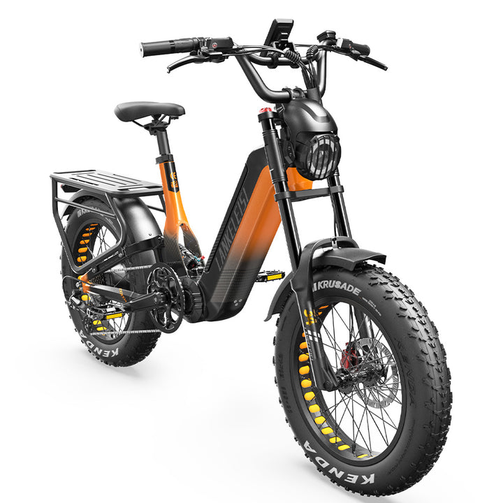 Lankeleisi RX800 Plus 2025 Version 1000W 20" Fat Bike 960Wh Full Suspension Electric Bike with Torque Sensor 48V 20Ah Battery SUV E-Bike